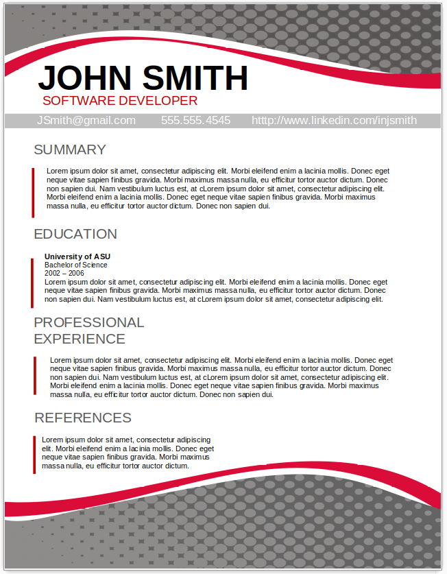 Software Developer