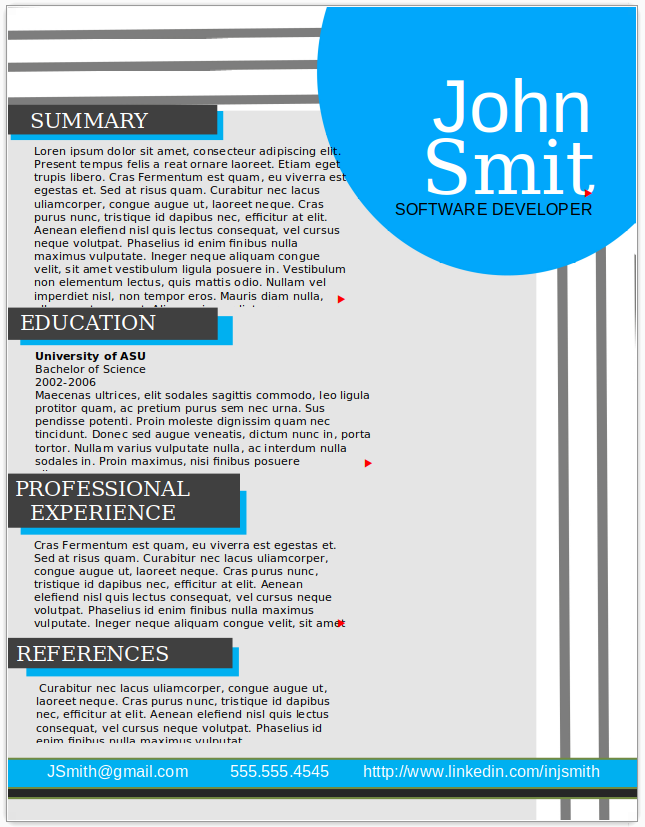 Software Developer