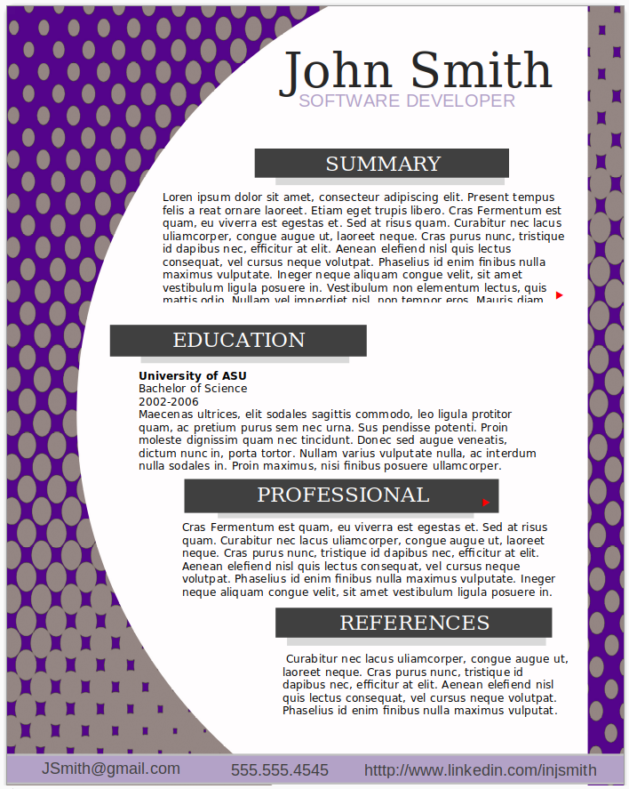 Software Developer
