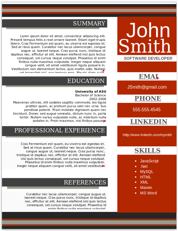 Software Developer