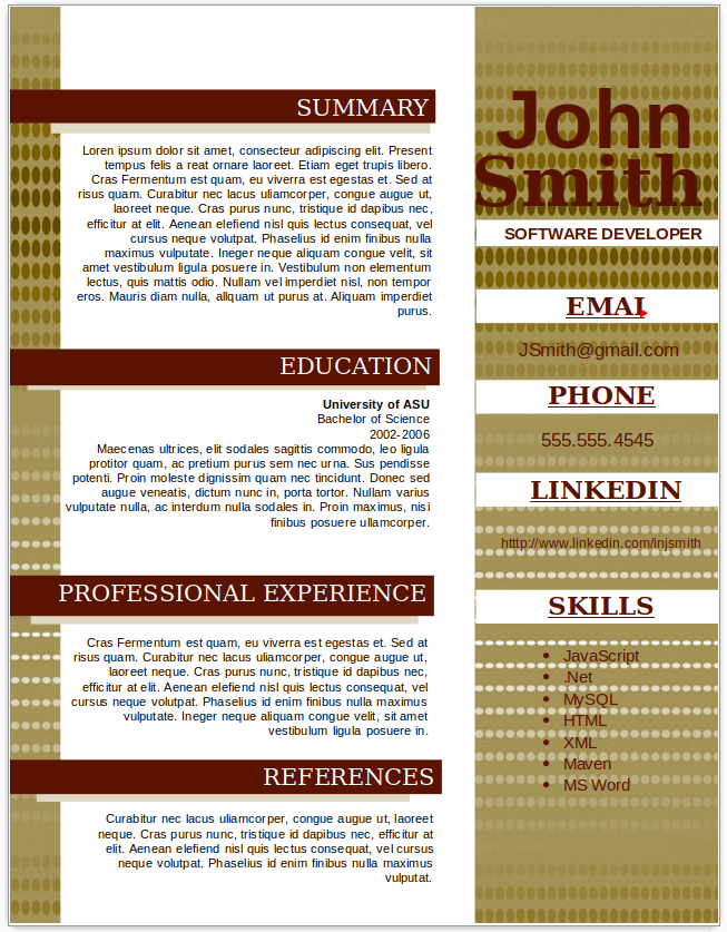 Software Developer