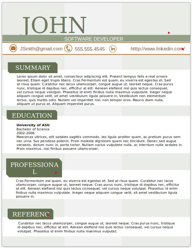 Software Developer