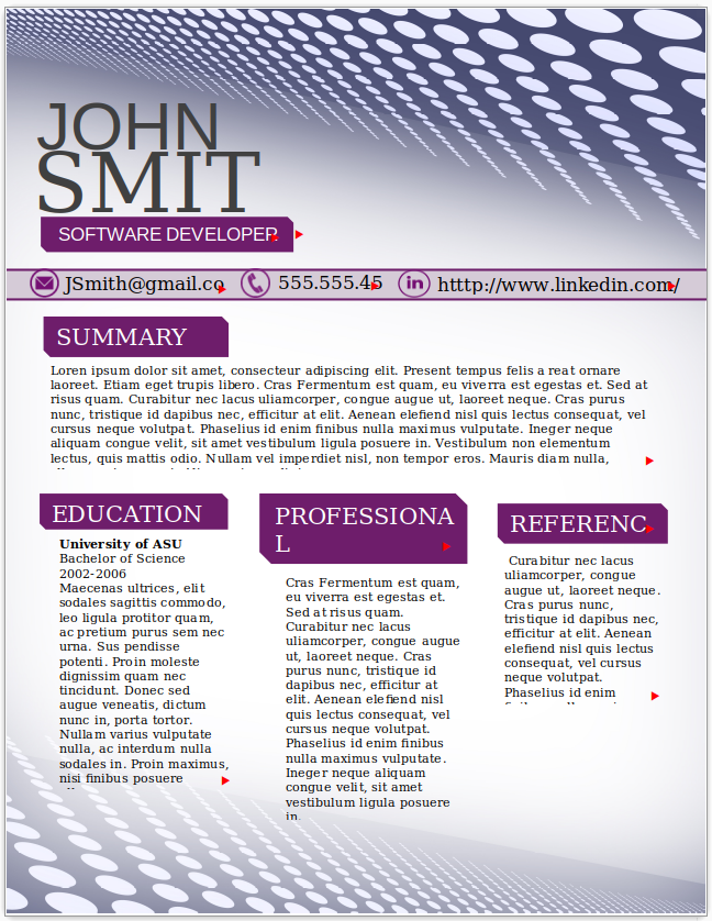 Software Developer