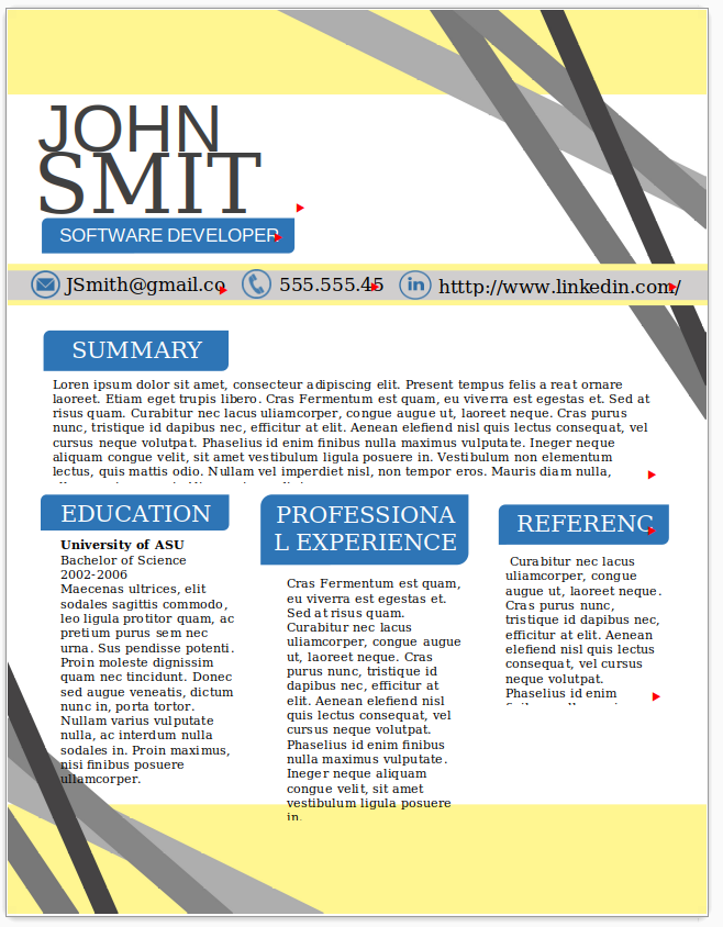 Software Developer
