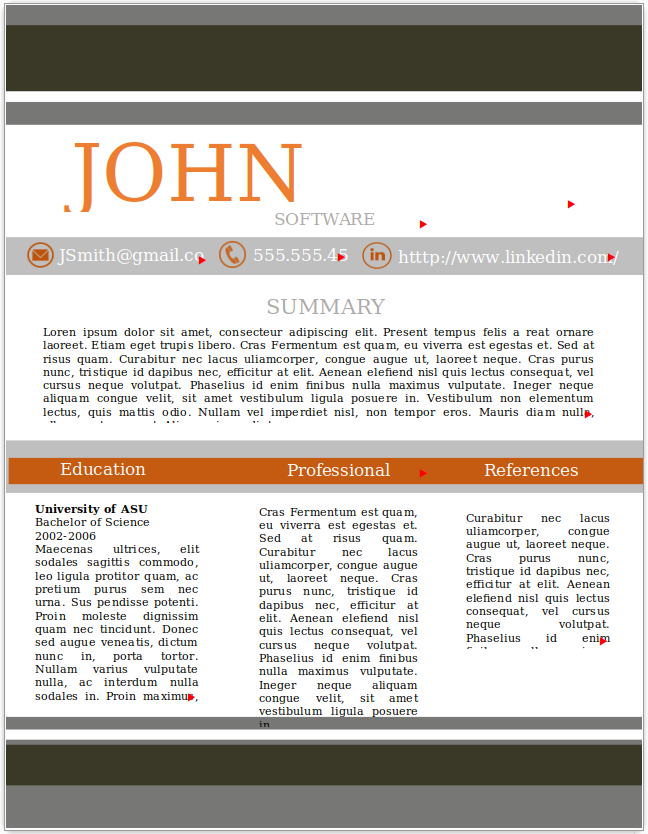 Software Developer