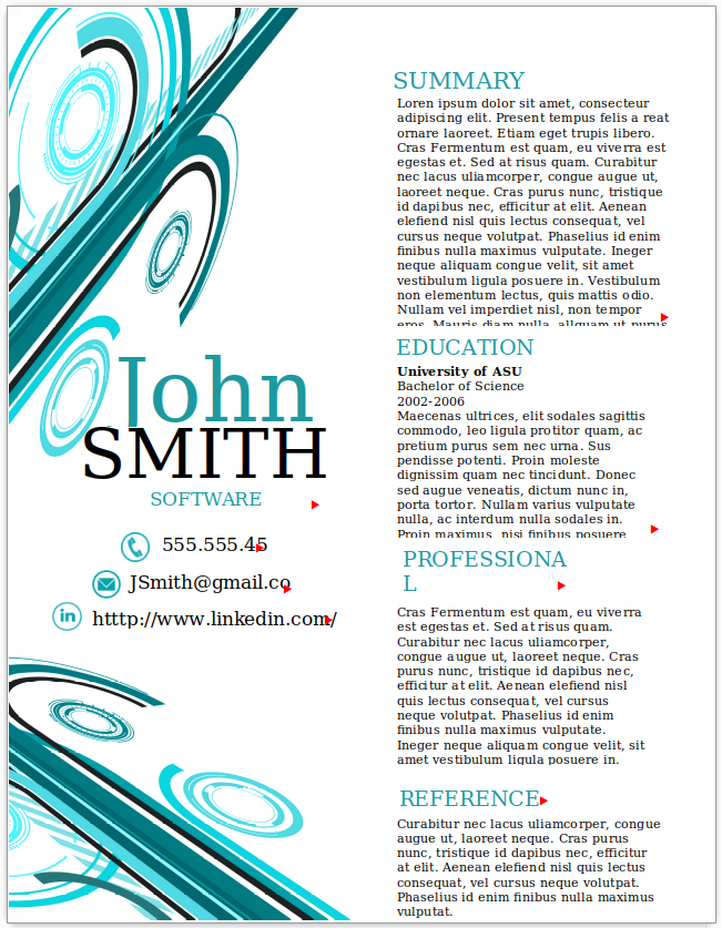 Software Developer
