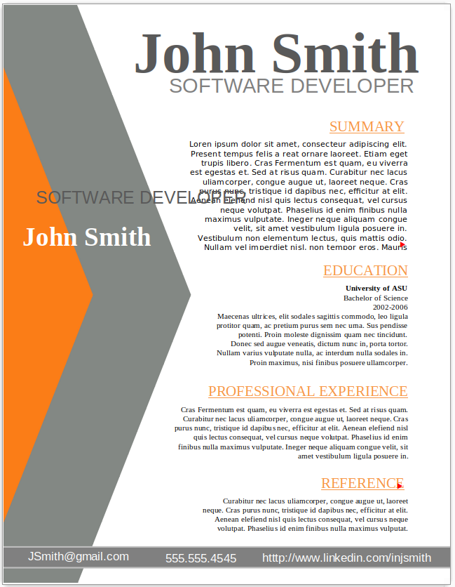 Software Developer
