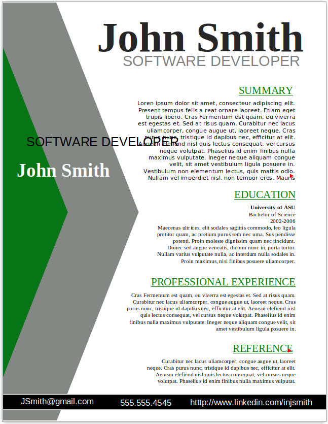 Software Developer