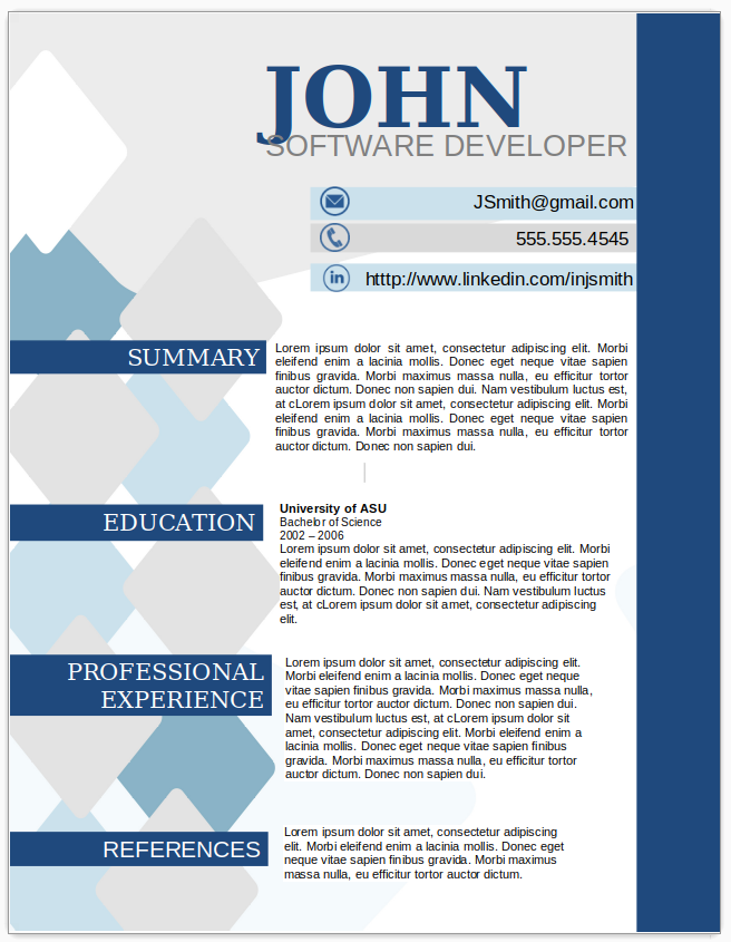 Software Developer