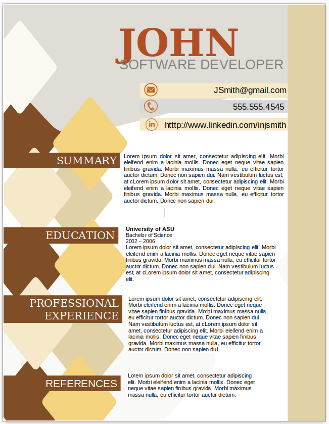 Software Developer