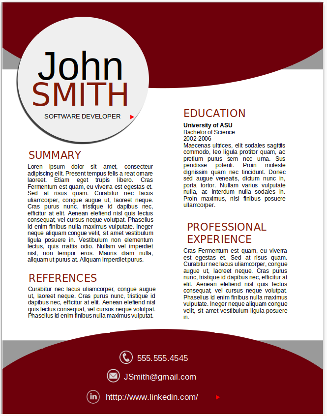 Software Developer