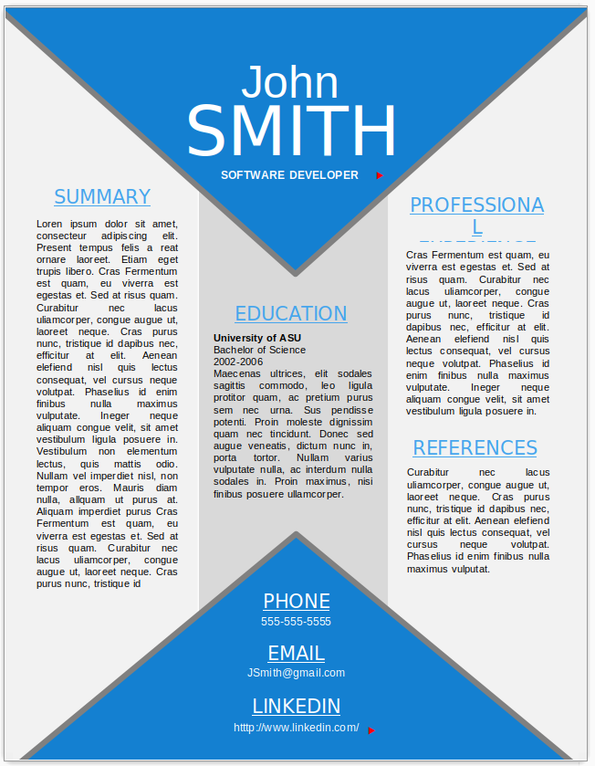 Software Developer