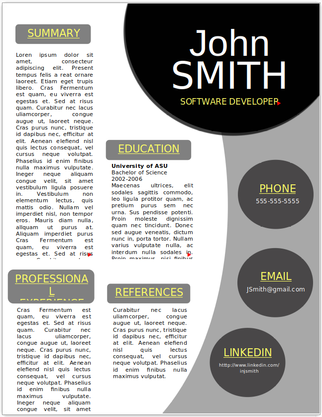 Software Developer