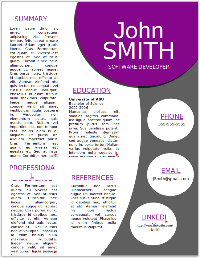 Software Developer