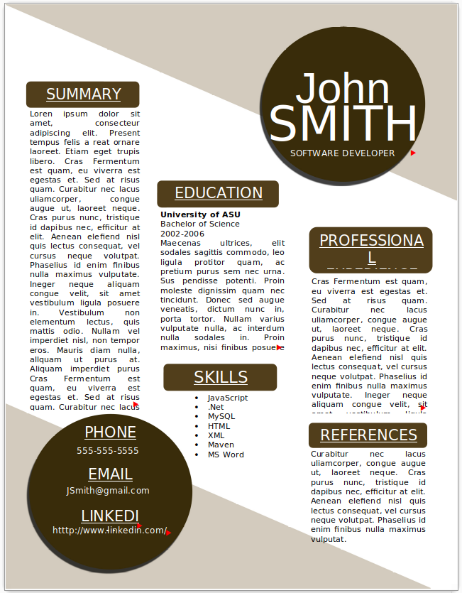 Software Developer