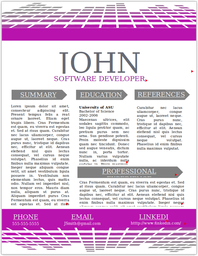 Software Developer