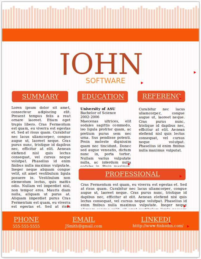Software Developer