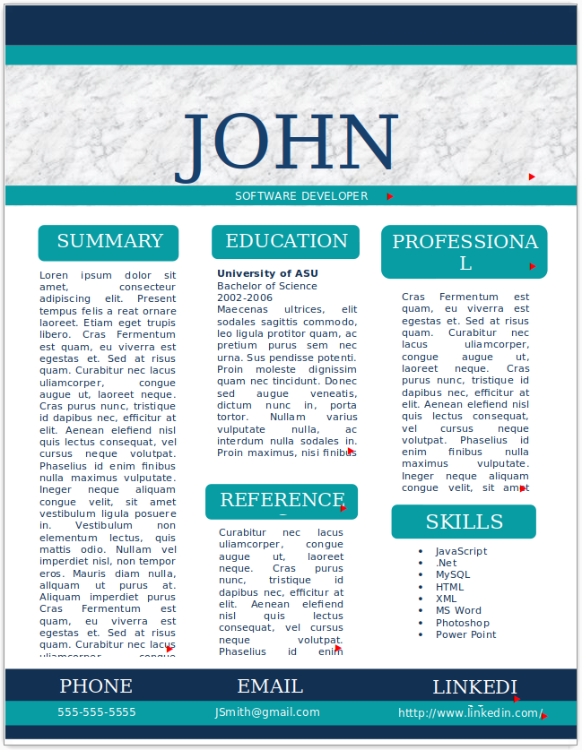 Software Developer