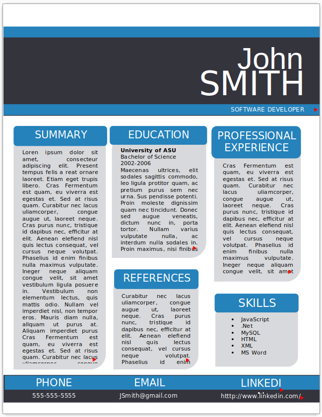 Software Developer