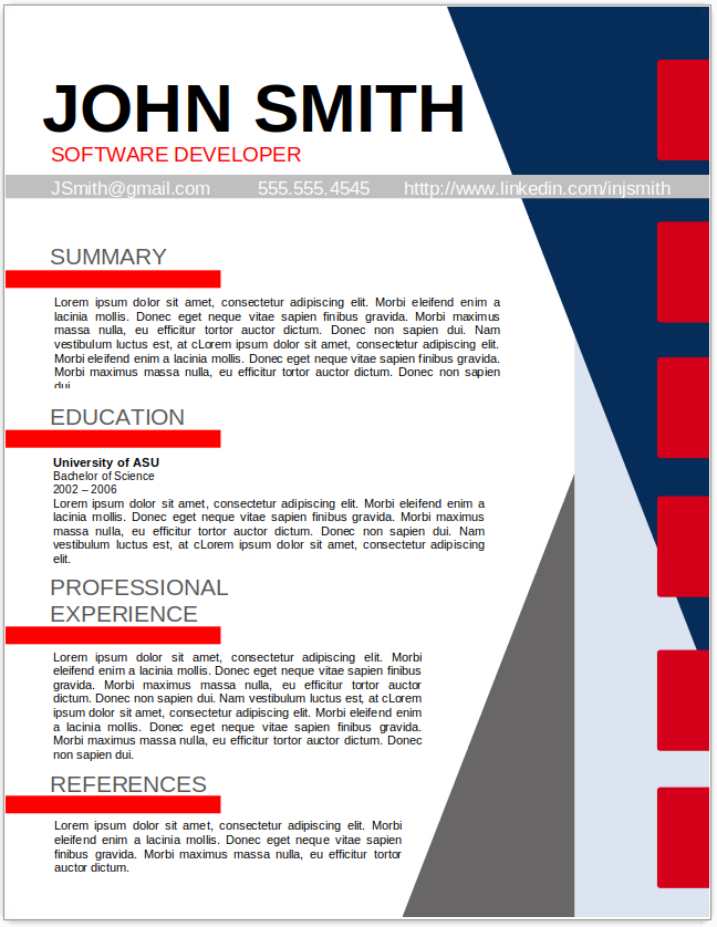 Software Developer