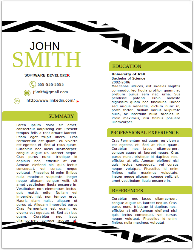 Software Developer