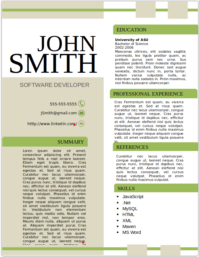 Software Developer