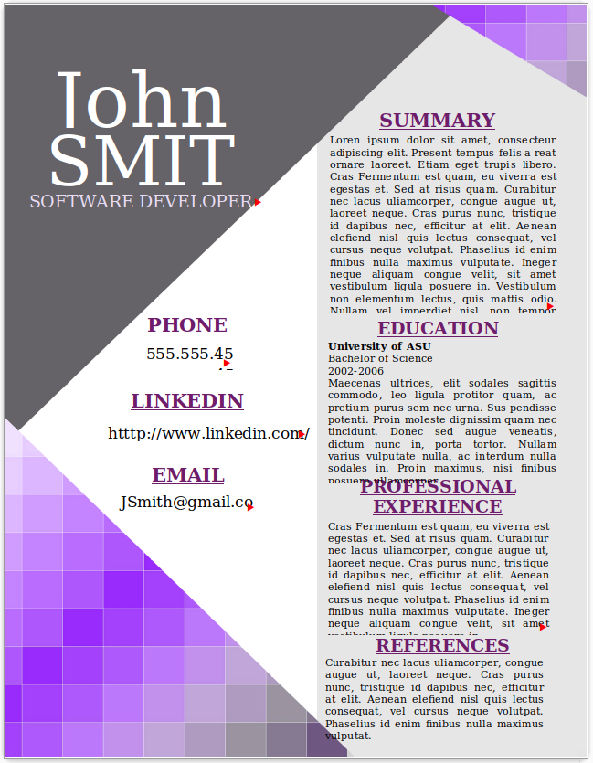 Software Developer