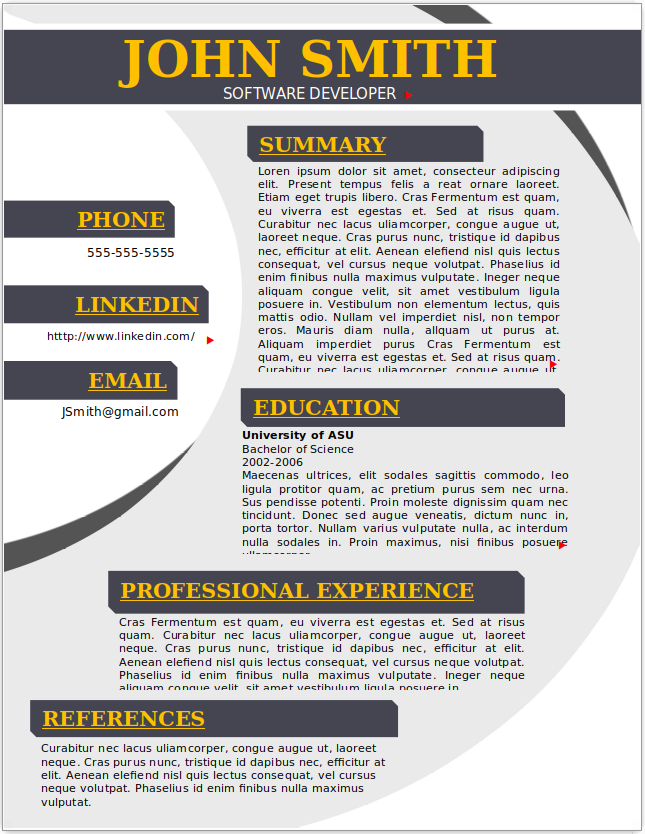Software Developer