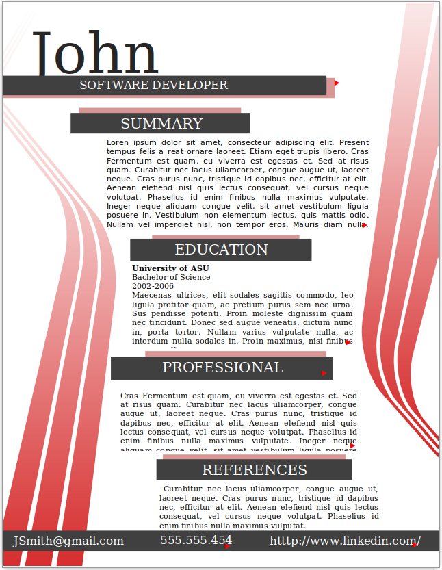 Software Developer