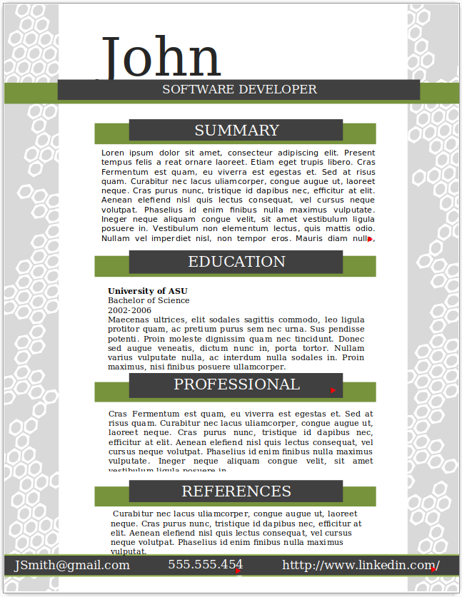 Software Developer