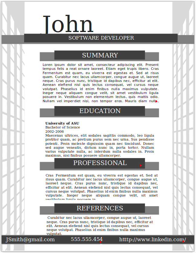 Software Developer