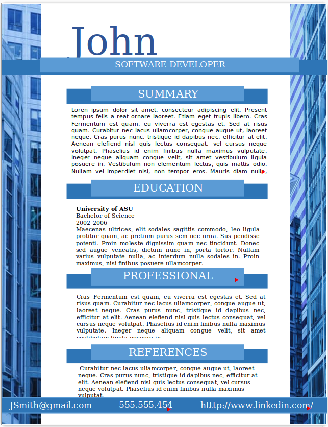 Software Developer