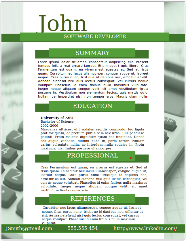 Software Developer