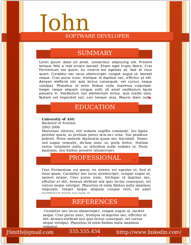 Software Developer