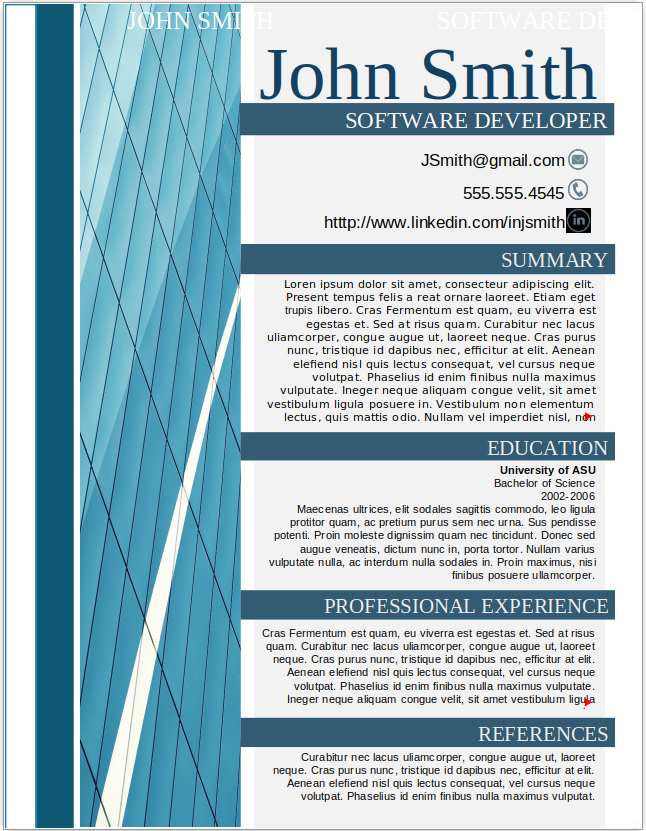 Software Developer