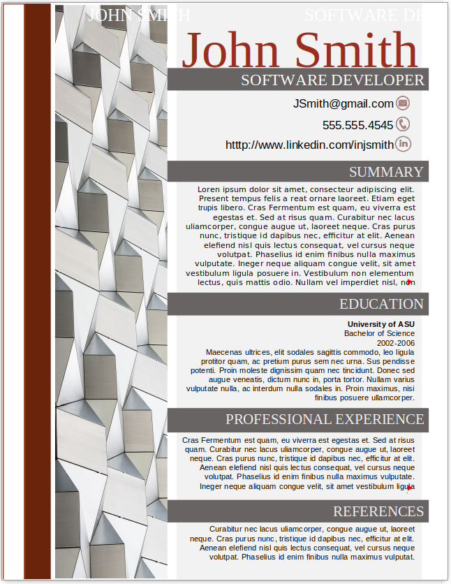 Software Developer