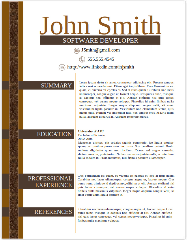 Software Developer