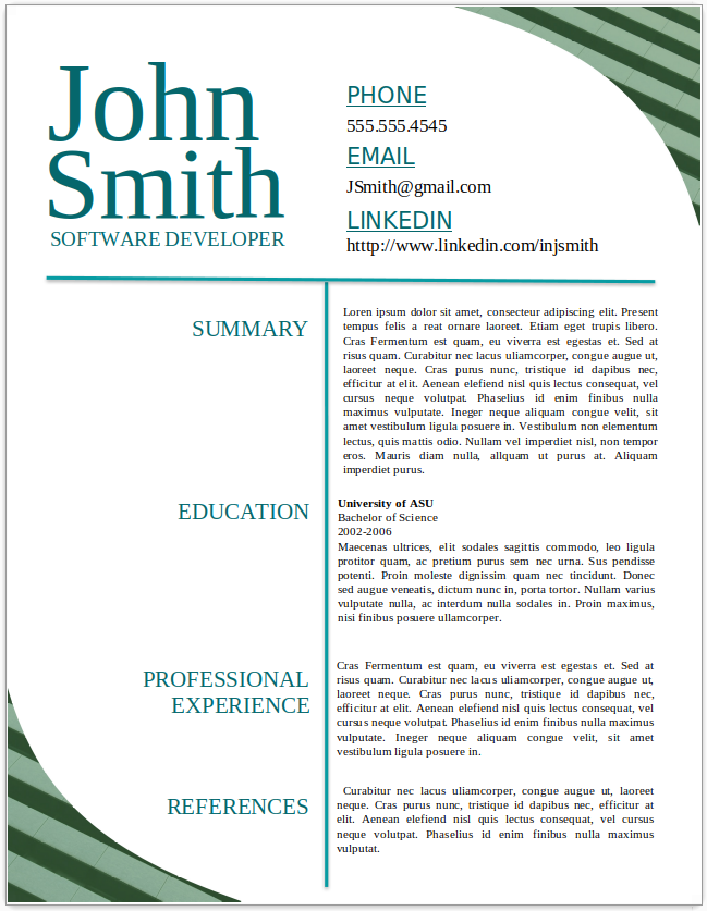 Software Developer