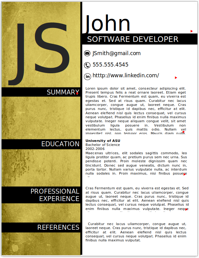 Software Developer