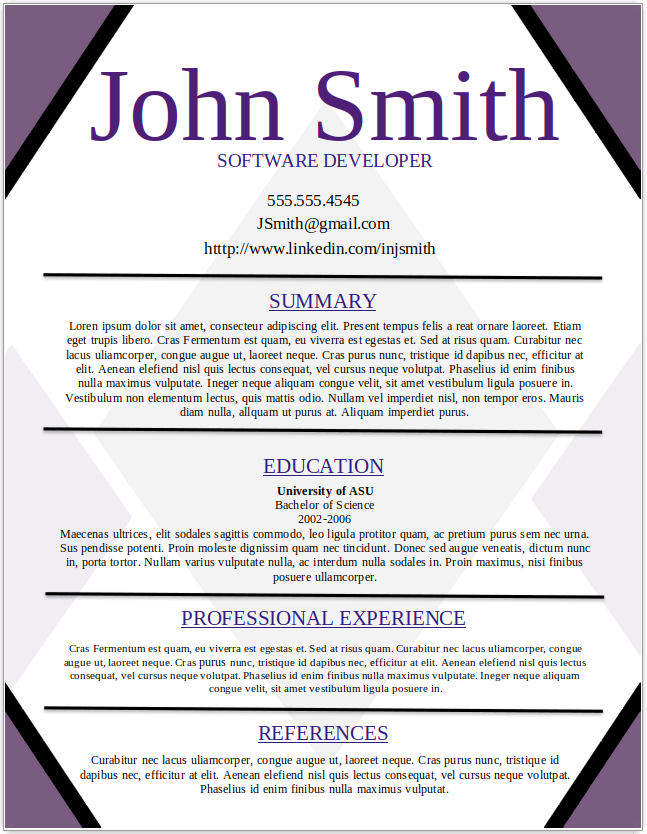 Software Developer