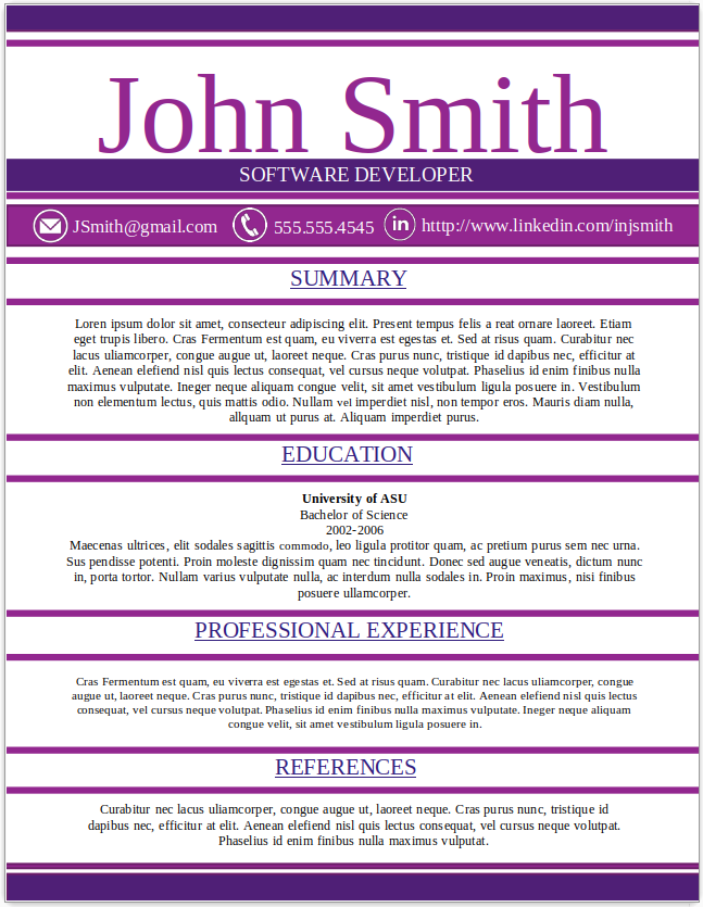 Software Developer