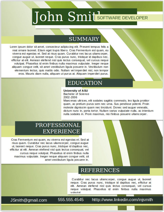 Software Developer