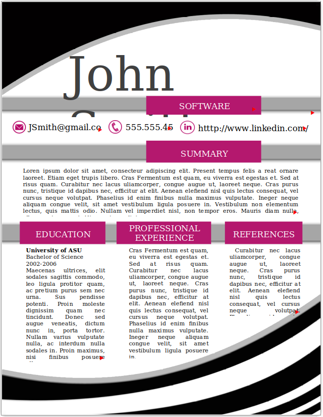 Software Developer