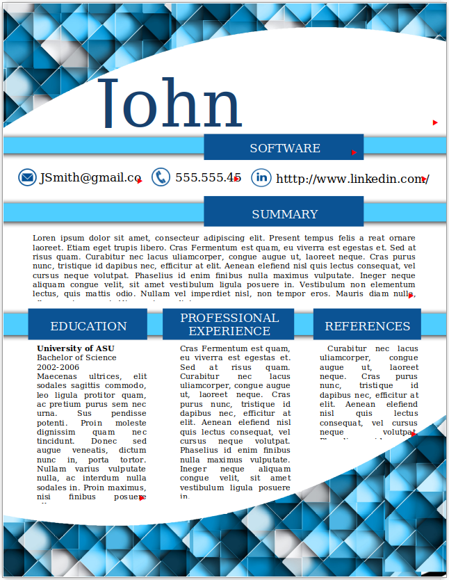 Software Developer